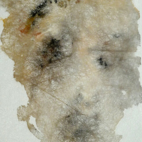 MAHO Jean-Jacques